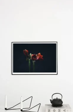 Applicata - Plakat - Dark red - Fotoplakat - 30x40 cm