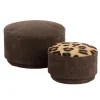 Au Maison - Boks - Leopard/Brun sæt af 2