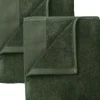 Blomus - Set of 2 Guest Hand Towels, 30 x 50 cm Agave Green - RIVA -