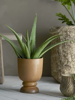 Bloomingville - Dua Urtepotteskjuler, Grøn, Stentøj