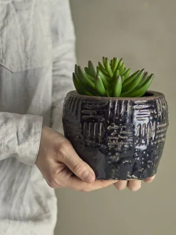 Bloomingville - Echeveria Kunstig Plante - Grøn, Plastik