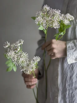 Bloomingville - Fennel Kunstig stilk - Rosa, Plastik