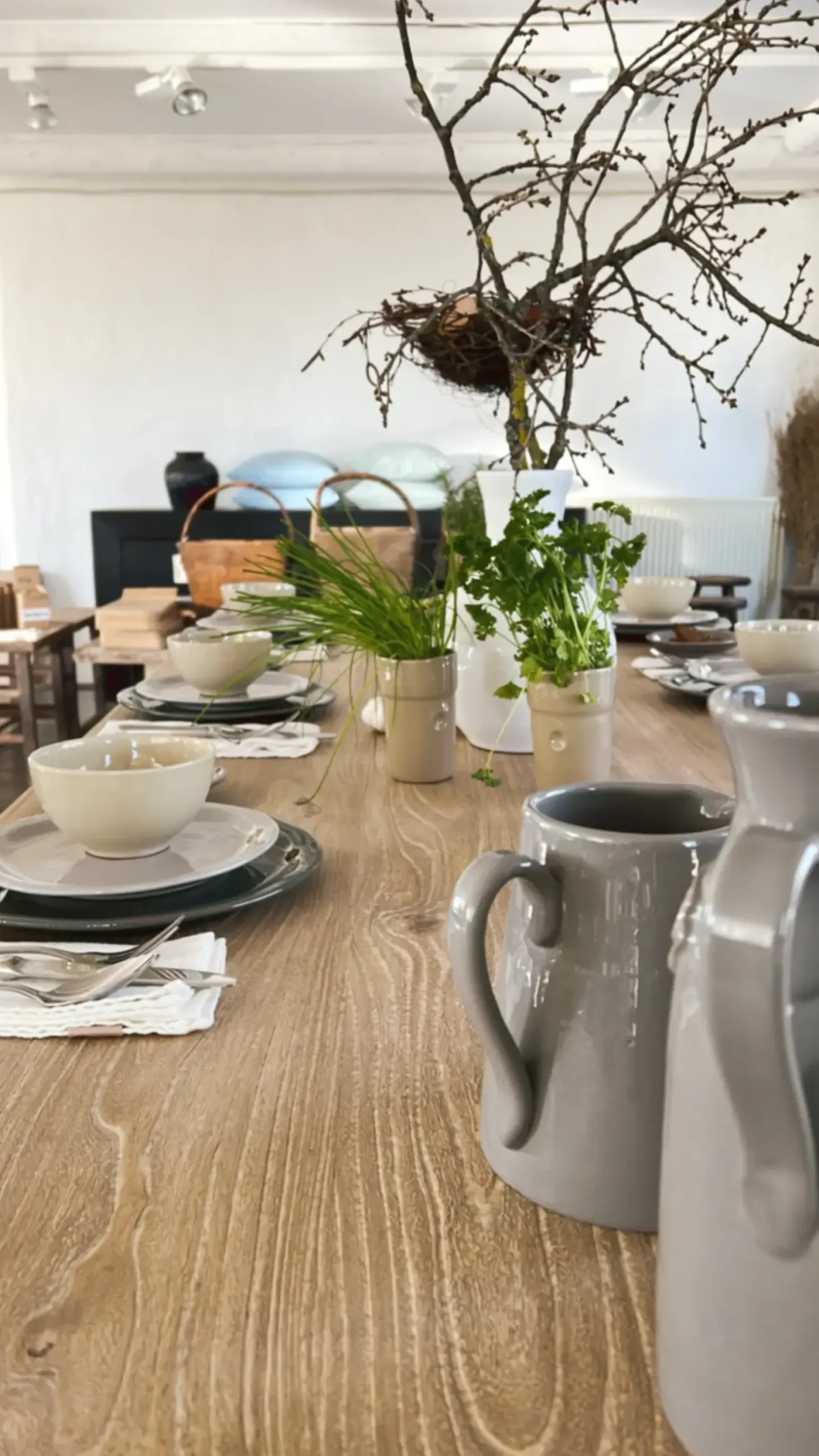 CASAgent - Skål - Verdino / Pastel Grøn - Ø 16 / H 6 cm