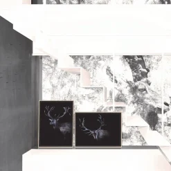 ChiCura - Plakat "Dear Red Deer" - 50x70 cm