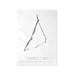 ChiCura - Stenbuk - Capricorn - A3