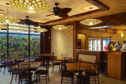 David Trubridge - Flax Pendel - Lime, 80 cm