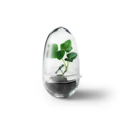 Design House Stockholm - Grow Greenhouse - Small