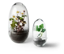 Design House Stockholm - Grow Greenhouse - X-Large - Ø: 20 cm, H: 32 cm