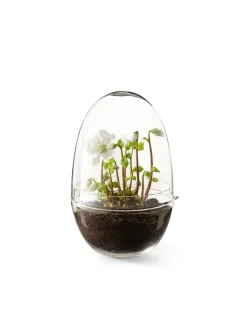 Design House Stockholm - Grow Greenhouse - X-Large - Ø: 20 cm, H: 32 cm