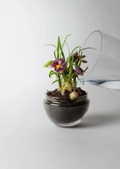 Design House Stockholm - Grow Greenhouse - Medium