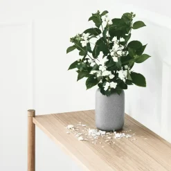 Gejst - Sceene reol D - Lys eg