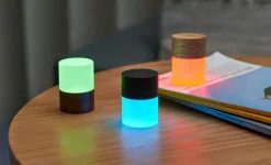 Gingko - Large Lemelia Light White Ash