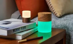 Gingko - Large Lemelia Light White Ash