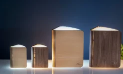 Gingko - LED Smart Booklight - Maple - Large