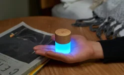 Gingko - Lemelia Light - White Ash - Mini - 6x4 cm