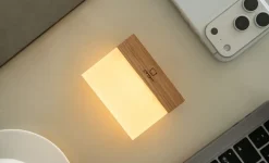 Gingko - Natlampe - CuraCheese - Hvid Ask