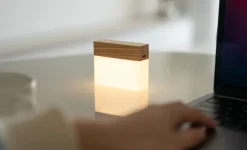 Gingko - Natlampe - CuraCheese - Hvid Ask