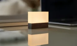 Gingko - Natlampe - CuraCheese - Valnød