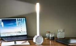 Gingko - Octagon One Desk Lamp - Aluminium