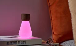 Gingko - Pentagon Light bulb Lamp Mini Natural Walnut Wood