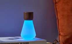 Gingko - Pentagon Light bulb Lamp Mini Natural Walnut Wood