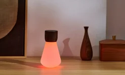 Gingko - Pentagon Light bulb Lamp Mini Natural Walnut Wood