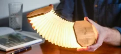 Gingko - Smart Accordion Lamp Bamboo
