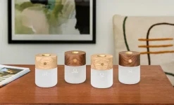 Gingko - Smart Diffuser Lamp Walnut