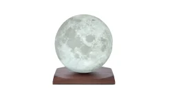 Gingko - Smart LunaSpin Lamp - Large Size