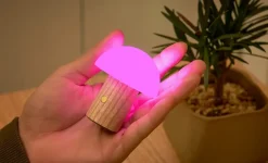 Gingko - Super Mini Alice Mushroom Lamp - White Ash