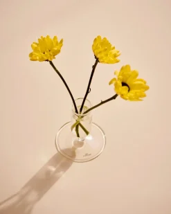 Hay - Vase - Tiny - Clear - Højde 8,6