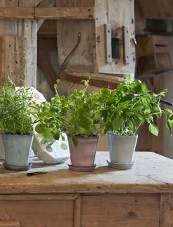 Knabstrup Keramik - urtepotteskjuler Ø 10.5 cm rose
