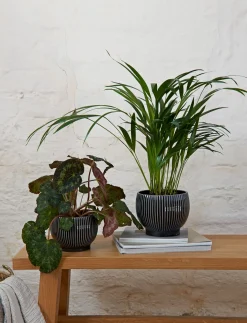 Knabstrup Keramik - urtepotteskjuler Ø 16 cm ripple black