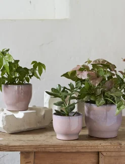 Knabstrup Keramik - urtepotteskjuler Ø 12.5 cm rose