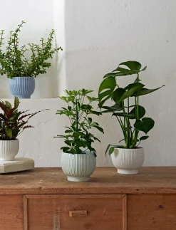 Knabstrup Keramik - urtepotteskjuler Ø 18 cm ripple lavender