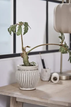 Lene Bjerre - Ellia krukke 6x6 cm. sand marmor