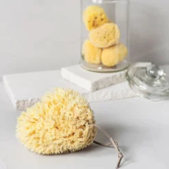 Mette Ditmer - OCEAN Silke fine ansigtssvampe, lette, 5-pak, Light