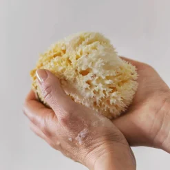 Mette Ditmer - OCEAN Silke fine ansigtssvampe, lette, 5-pak, Light