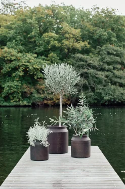 Muubs - Krukke Sai 26 - Rust - Metal