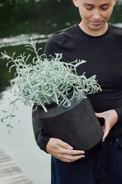 Muubs - Krukke Sai 23 - Rust - Metal