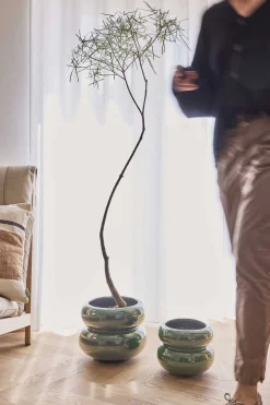 Oyoy - Plantekrukke - Kupla - Small - Grøn