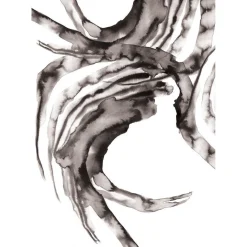 Paradisco Production illustration - GLORIOR A3