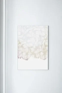 Paradisco Productions illustration - Soft Transparency plakat (70 x 100)