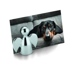 Philippi - Angelo picture holder