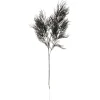 Present time - Artificial plant Asparagus Fern Stem black