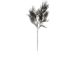 Present time - Artificial plant Asparagus Fern Stem black