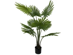 Present time - Artificial plant Fan Palm Tree