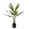 Present time - Artificial plant Calathea green w. white