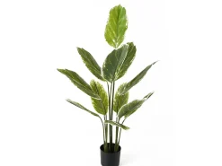 Present time - Artificial plant Calathea large