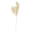 Present time - Artificial plant Asparagus Fern Stem white